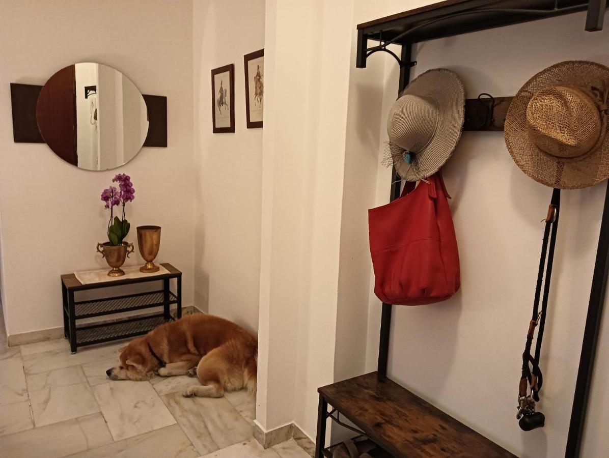 Apartmán Laura Domus Portici Exteriér fotografie